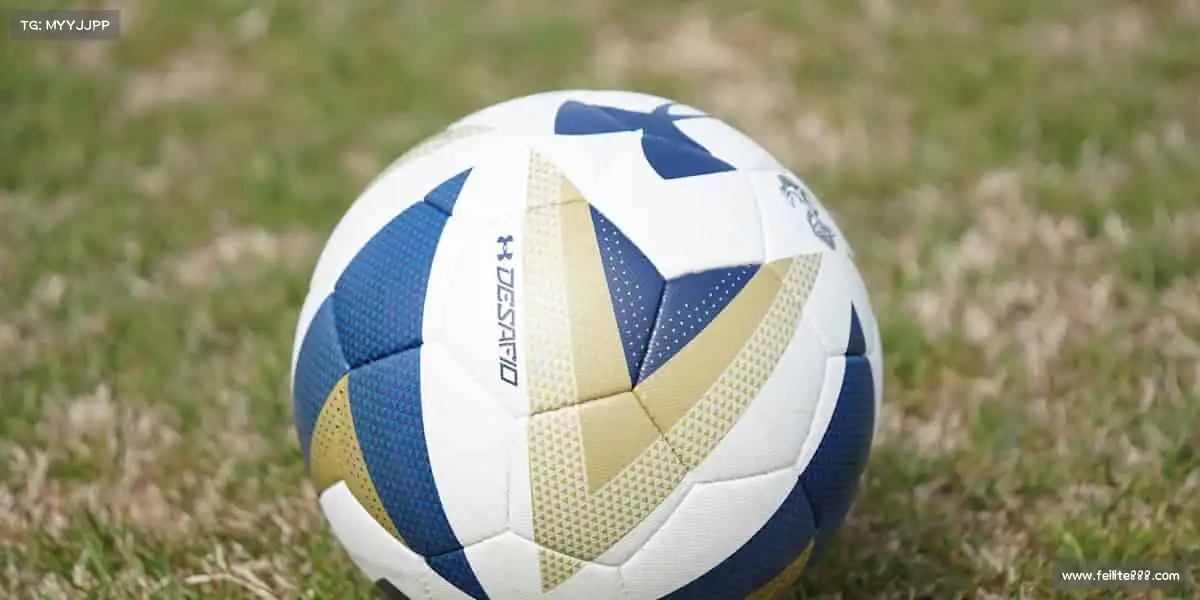 <strong>米兰</strong>🏓小球转动大世界，拼搏成就每一刻！